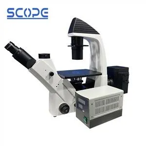 Mikroskopju epifluworexxenti maqlub