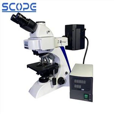 LED Light Source Fluorescence Microscope